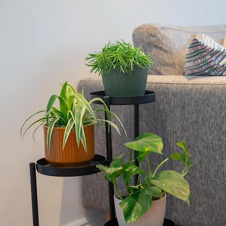 In Gamle アパート *